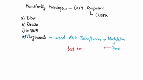 which-of-the-following-is-functionally-homologous-to-the-cas9-component-of-the-crispr-system-dicer-drosha-mirna-argonaute-88229