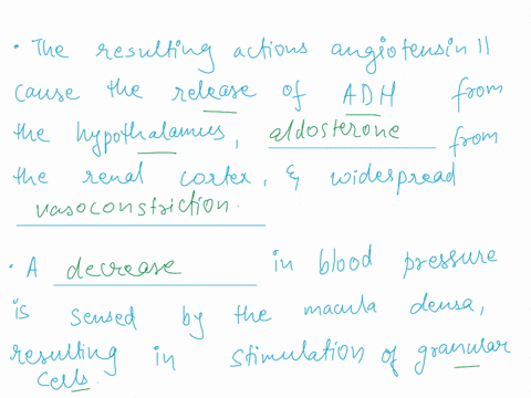 complete-each-statement-by-using-the-appropriate-word-or-phrase-from-the-listthen-arrange-the-sentences-into-the-order-that-accurately-describes-the-renin-angiotensin-aldosterone-mechanism-d-36981