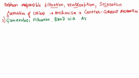 identify-the-parts-of-the-nephron-responsible-for-filtration-reabsorption-and-secretion-and-describe-the-mechanisms-underlying-each-of-these-functional-processes-3578