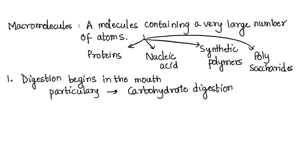 SOLVED What is the first macromolecule your body breaks down and what