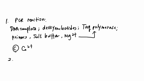 17-which-of-the-following-component-pcr-reaction-mixture-a-dna-template-b-individual-deoxynucleotides-c-calcium-ions-dj-magnesium-ions-ej-salt-buller-anehci-before-egion-o-dna-can-be-amplifi-88137