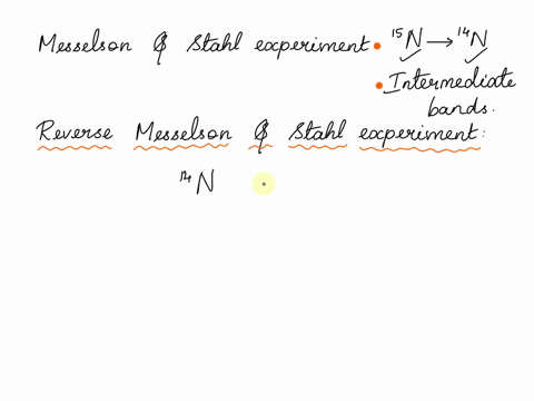 if-the-meselson-and-stahl-experiment-is-reversed-light-isotope-first-and-then-incubate-in-heavy-isotope-considering-semi-conservative-mode-of-dna-replication-what-kind-of-band-pattern-would-90625