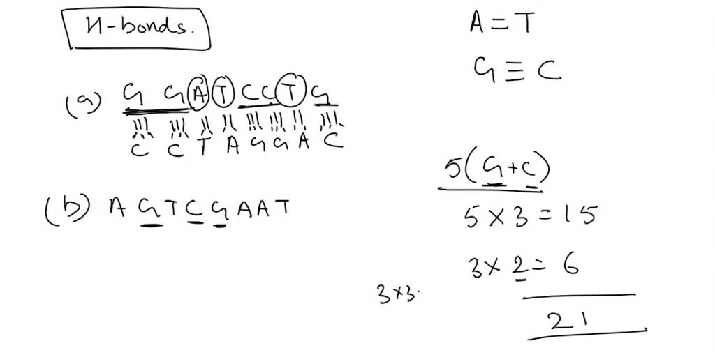 SOLVED: The diagram below represents a nucleotide. Which of the ...