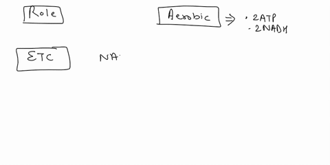 what-is-the-role-of-oxygen-in-cellular-respiration-it-provides-electrons-for-the-electron-transport-chain-it-combines-with-carbon-monoxide-to-form-carbon-dioxide-it-is-needed-for-the-product-18854