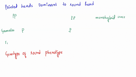 if-pointed-heads-are-dominant-to-round-heads-which-of-the-following-genotypes-could-express-a-round-phenotype-group-of-answer-choices-pp-pp-pp-none-of-these-10032