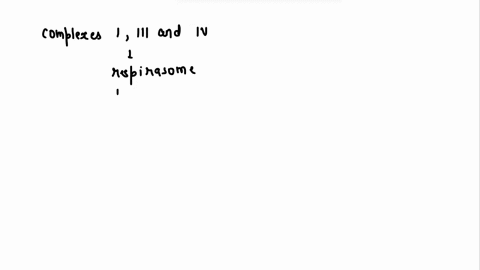what-is-the-advantage-of-having-complexes-iiii-and-iv-associated-with-one-another-in-the-form-of-a-respirasome-69153