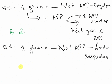 ihc-cnzyme_-compleres-dass-of-enzymes-eoriated-ligases-with-the-dlertron-iyases-ramsnad-hycrolases-choln-are-for-eveny-dommnanth-one-elucose-tramienses-tdi-that-i-ofwhich-8j2-metabolired-qul-55834