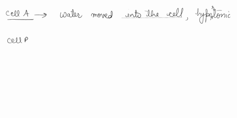 cella-cell-b-cell-cell-d-time-minutes-mass-grams-114-113-30-112-113-movement-ofl-no-net-water-movement-sucrose-in20-cell-tonicity-in-isotonic-cell-mass-grams-125-13-135-mass-grams-108-mass-g-78375