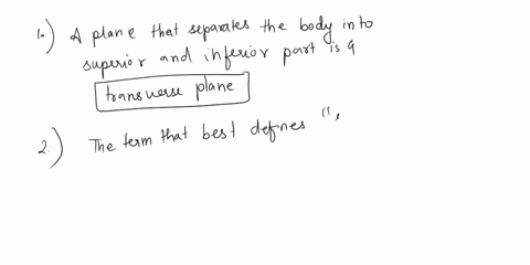 superior-and-inferior-parts-6-an-plane-separates-the-body-into-transverse-b0-oblique-c-sagittal-coronal-frontal-7-which-best-defines-superficial-on-the-inside-on-the-outside-toward-the-end-o-93757