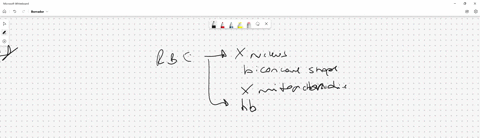 how-does-the-structure-of-red-blood-cells-allow-them-to-deliver-oxygen-to-the-cells-of-the-body-a-th-43107