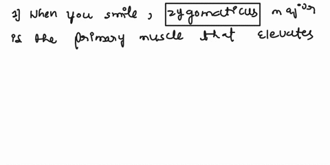 afrontalis-borbicularis-oculi-cbuccinator-dplatysma-e-zygomaticus-major-f-depressor-anguli-oris-g-orbicularis-oris-hmentalis-is-the-primary-muscle-that-elevates-the-corners-of-your-mouth-4-w-39695