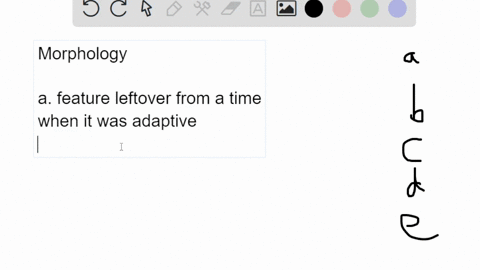 the-wings-of-birds-the-legs-of-pigs-and-the-flippers-of-dolphins-provide-examples-of-a-vestigial-s-2-46788