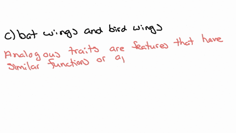 an-example-of-analogous-traits-are-choose-one-a-human-arms-and-human-legs-b-bat-wings-and-whale-fins-c-bat-wings-and-bird-wings-d-human-arms-and-chicken-wings