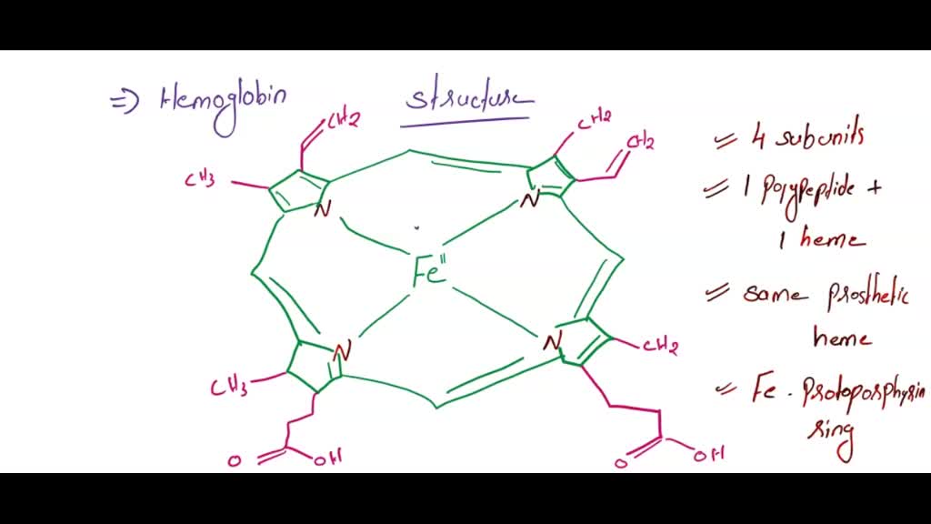 SOLVED: Give a DETAILED analysis of how the structure of hemoglobin ...