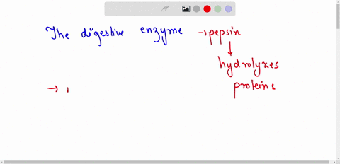 the-digestive-enzyme-pepsin-hydrolyzes-which-macromolecule-carbohydrate-protein-fat-nucleic-acids-75188