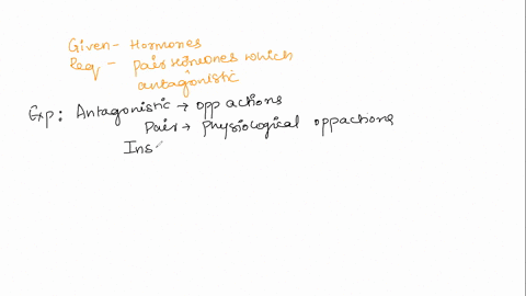 complet-the-test-question-24-2-pts-multi-select-learning-about-hormones-and-body-function-regulations-is-challenging-andy-relates-this-to-the-skeletal-muscle-actions-there-is-prime-mover-an-61645