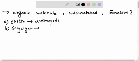 which-organic-molecule-is-mismatched-with-its-function-chitin-serves-as-a-structural-element-in-the-exoskeletons-of-arthropods-glycogen-serves-as-a-storage-form-of-glucose-in-animals-lipids-88687