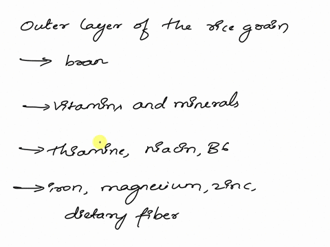 which-part-of-the-rice-grain-contains-most-of-the-vitamins-and-minerals-02354