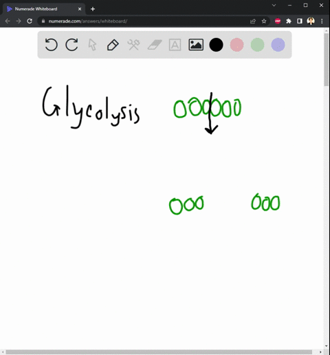 how-does-aerobic-respiration-yield-so-much-atp-from-each-glucose-molecule-compared-with-glycolysis-a-47622