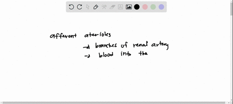 the-afferent-arteriole-delivers-blood-to-the-a-renal-artery-b-efferent-arteriole-c-renal-vein-d-ca-3-9772