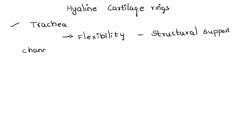 why-do-you-think-the-hyaline-cartilage-rings-of-the-trachea-are-c-shaped-rather-than-o-shaped-60288