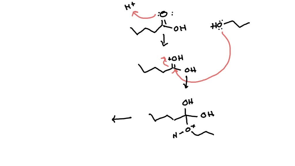 SOLVED: In the Fischer esterification reaction, a carboxylic acid ...