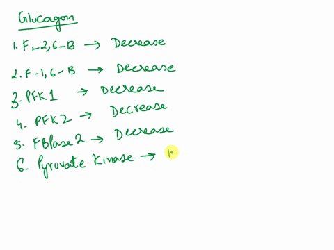 in-the-fasting-and-fed-state-glucagon-and-insulin-are-released-from-the-pancreas-respectively_-identify-the-effect-of-each-of-these-hormones-on-the-following-enzyme-activities-increase-decre-23582
