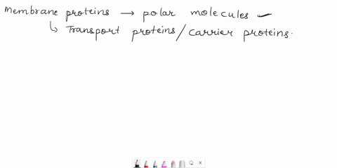 what-membrane-proteins-would-allow-polar-molecules-to-cross-the-membrane-and-enter-the-intracellular-space-48949