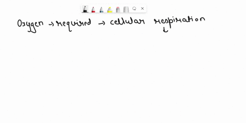 gas-exchange-involves-the-transport-of-two-respiratory-gases-oxygen-and-carbon-dioxide-review-how-each-gas-is-transported-between-the-atmosphere-and-the-cells-of-your-body-by-completing-this-29797