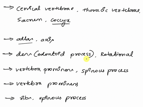 can-you-help-me-whit-the-ones-i-get-wrong-explain-the-features-of-the-vertebral-column-by-clicking-and-dragging-the-labeis-to-complete-each-statement-in-the-paragraph-axis-corvicalverabrai-t-44867