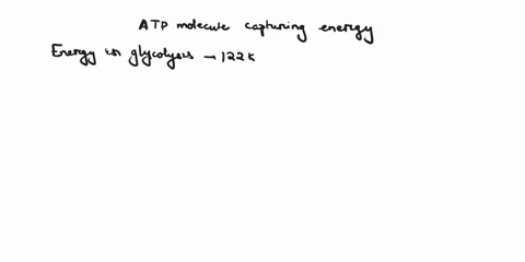 the-total-amount-of-energy-contained-in-the-chemical-bonds-of-glucose-is-2870-kj-mol-18016g-the-total-amount-of-energy-collected-as-an-atp-molecule-during-glycolysis-is-122-kj-mol-of-glucose-49207