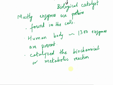 why-do-we-need-enzymes-79373