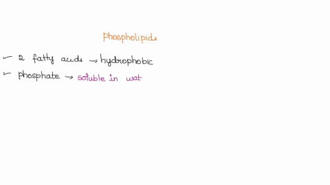 why-do-phospholipids-form-bilayers-in-water-a-because-they-are-amphipathic-molecules-polar-and-hydrophobic-regions-on-the-same-molecules-and-bilayers-allow-each-region-to-interact-with-its-p-43157