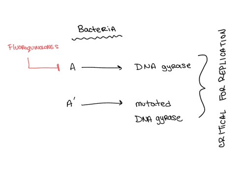the-image-in-which-a-represents-a-gene-shows-a-harmless-mutation-that-has-occurred-in-a-species-genome-which-is-the-most-plausible-way-that-this-mutation-may-eventually-benefit-the-species-a-39435