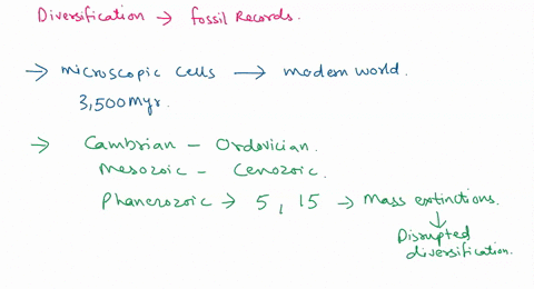 question-12-5-pts-which-of-the-following-is-true-about-patterns-of-diversification-in-the-fossil-record-multiple-correct-answers-possible-diversity-has-decreased-since-the-cambrian-explosion-59002