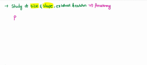 the-study-of-the-size-and-shape-of-the-heart-is-called-a-physiology-b-anatomy-c-histology-d-embryology-94068