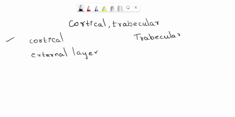 2-compare-and-contrast-the-structure-of-cortical-and-trabecular-bone-3-what-is-the-purpose-of-cortical-bone-what-is-the-purpose-of-trabecular-bone-4-what-are-trabeculae-what-is-their-functio-79816