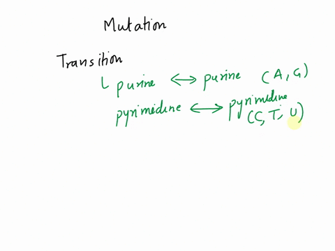 a-mutation-changes-the-codon-caa-to-uaa-this-is-an-example-of-__-a-transition-nonsense-mutations-b-transversion-silent-mutations-c-transition-missense-mutations-d-transversion-missense-mutat-33324