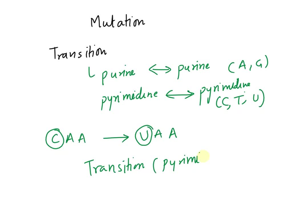 SOLVED: A mutation changes the codon CAA to UAA. This is an example of ...