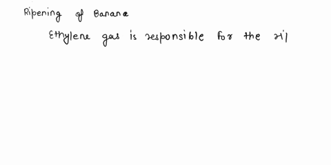quuthu-bised-tour-expcrimncntal-nsults-what-hzppeus-0-thc-chcmic-i-compositon-of-a-banana-a5-il-ripcos-discuss-the-amount-of-sugar-and-starch-found-cich-of-the-banans-ripe-green-and-ovcmipe-02143
