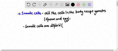 an-animal-with-a-diploid-number-of-48-chromosomes-will-have-________-chromosomes-in-its-gametes-and-_________-chromosomes-in-its-somatic-cells-a-24-48-b-23-42-c-48-24-d-23-46-e-48-96-91734