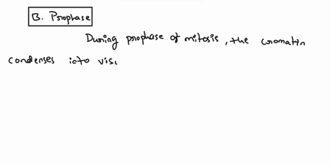 which-phase-of-mitosis-is-responsible-for-condensed-structure-of-chromosomes-a-interphase-b-prophase-c-metaphase-d-anaphase-e-telophase-30179
