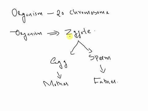 if-an-organism-has-20-chromosomes-how-many-did-they-inherit-from-each-parent-o-5-o-10-20-40-32752