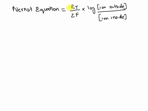 plugging-in-the-concentrations-of-sodium-and-potassium-calculate-the-equilibrium-potentials-for-sodium-and-potassium-e-ion62mv-log-ionoutsideion-outside-ena-ek