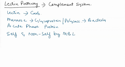 mannose-binding-lectin-binds-to-mannose-on-bacterial-cells-to-mark-the-bacterial-cell-for-destruction-and-activate-the-complement-system-mannose-binding-lectin-therefore-can-be-considered_-a-24718