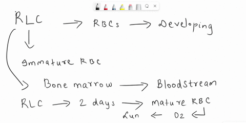 hematology-help-which-of-the-following-tests-best-determines-the-adequacy-of-production-of-rbcs-in-the-bone-marrow-a-retic-count-b-rdw-c-erythrocyte-sedimentation-rate-esr-d-hematocrit-36248