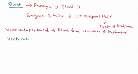 state-the-process-of-how-the-shunt-is-formed-64068