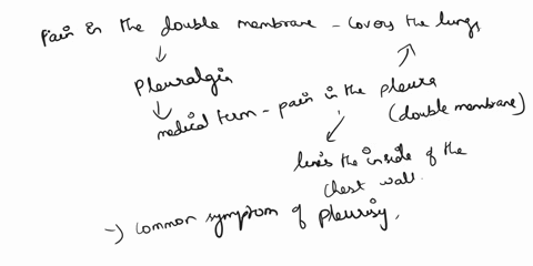 8-pain-in-the-double-membrane-that-covers-the-lungs-is-called-abronchiectasis-b-pleuralgia-e-pneumonopathy-c-pneumonomalacia-9-a-whistling-sound-resulting-from-narrowing-of-the-lumen-of-a-re-30674