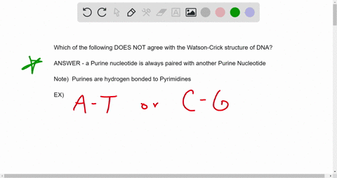 which-one-of-the-following-statements-does-not-agree-with-watson-and-cricks-model-for-the-3-d-structure-of-dna-group-of-answer-choices-a-purine-nucleotide-is-always-paired-with-a-purine-nucl-90728