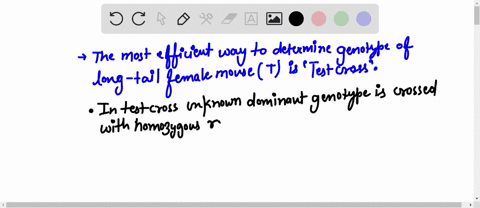 you-need-to-determine-the-genotype-of-a-female-mouse-with-a-long-tail-assume-that-single-gene-controls-tail-length-and-that-there-are-two-alleles-of-this-gene-one-allele-is-dominant-and-resu-11587